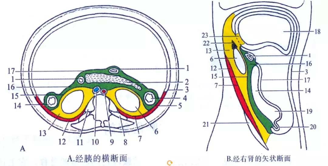 1634197541661534.png