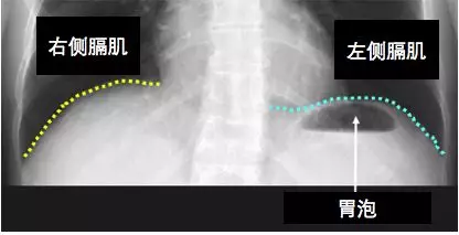 图片12.png
