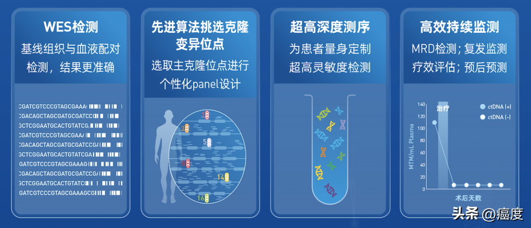 e5bf709c80cc4193a508a99b61827558_noop.png