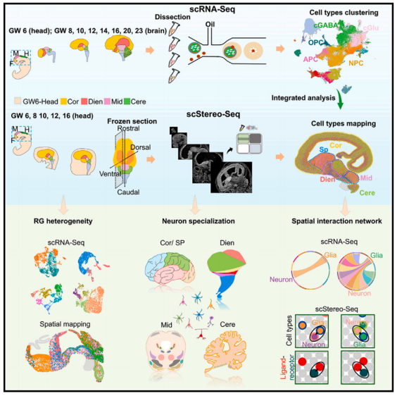 1704761783367284.png 图片2.png