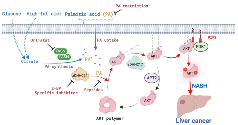 1706573783869970.png 图片2.png
