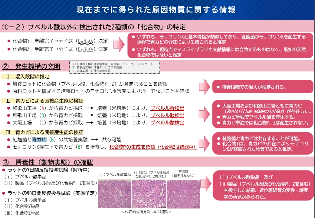 小林1.png
